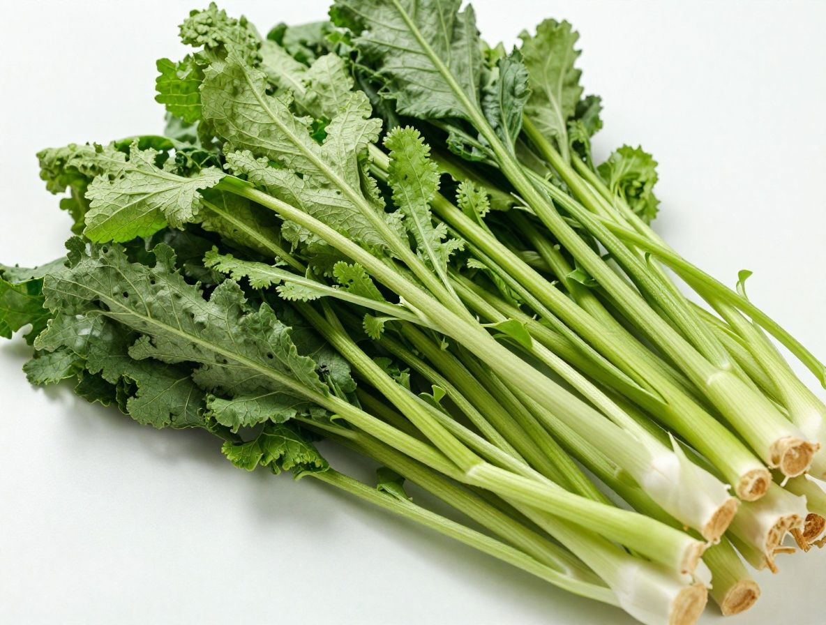 Zbliżenie na świeże zioła i korzenie roślin leżące na naturalnym tle z widoczną strukturą gleby, oświetlone ciepłym bocznym światłem podkreślającym tekstury